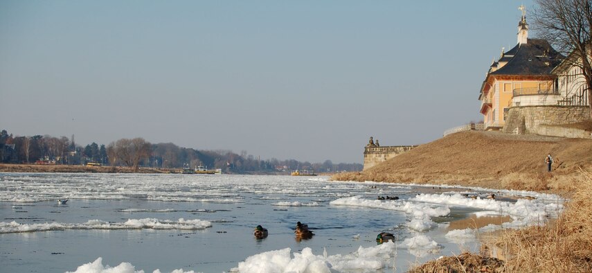 vereister Fluss, Enten und ein Schloss