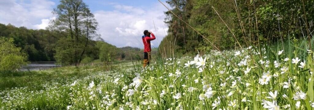 Wanderer auf Blühwiese am Waldrand