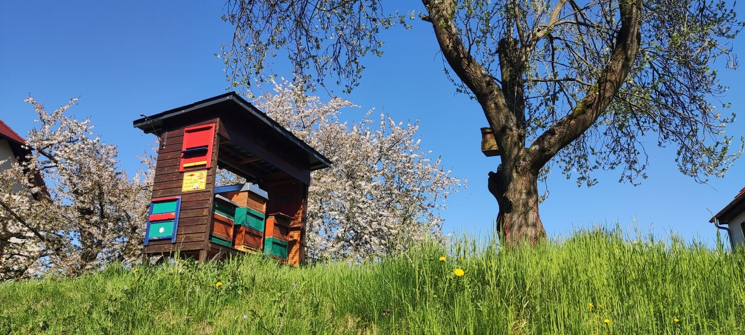 Unterstand für Bienenvölker